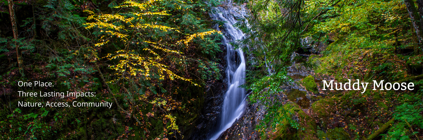 One Place. Three Lasting Impacts: Nature, Access, Community. Muddy Moose