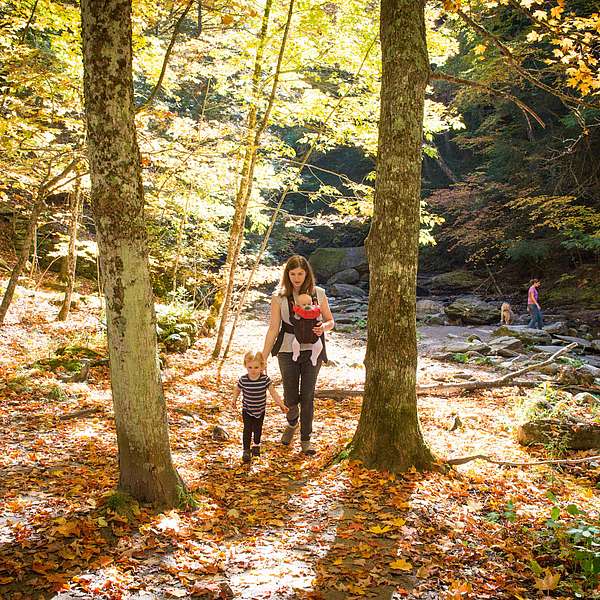 Family-friendly Foliage Hikes in Stowe