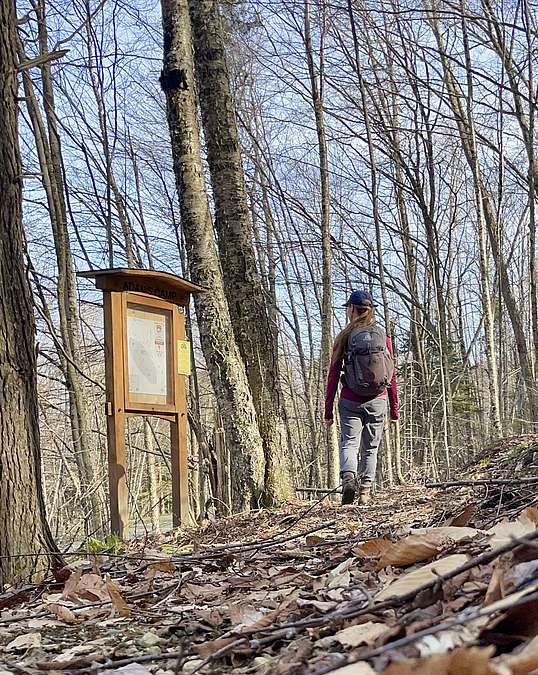 Photo of a woman walking in the forest on a multi-use trail.