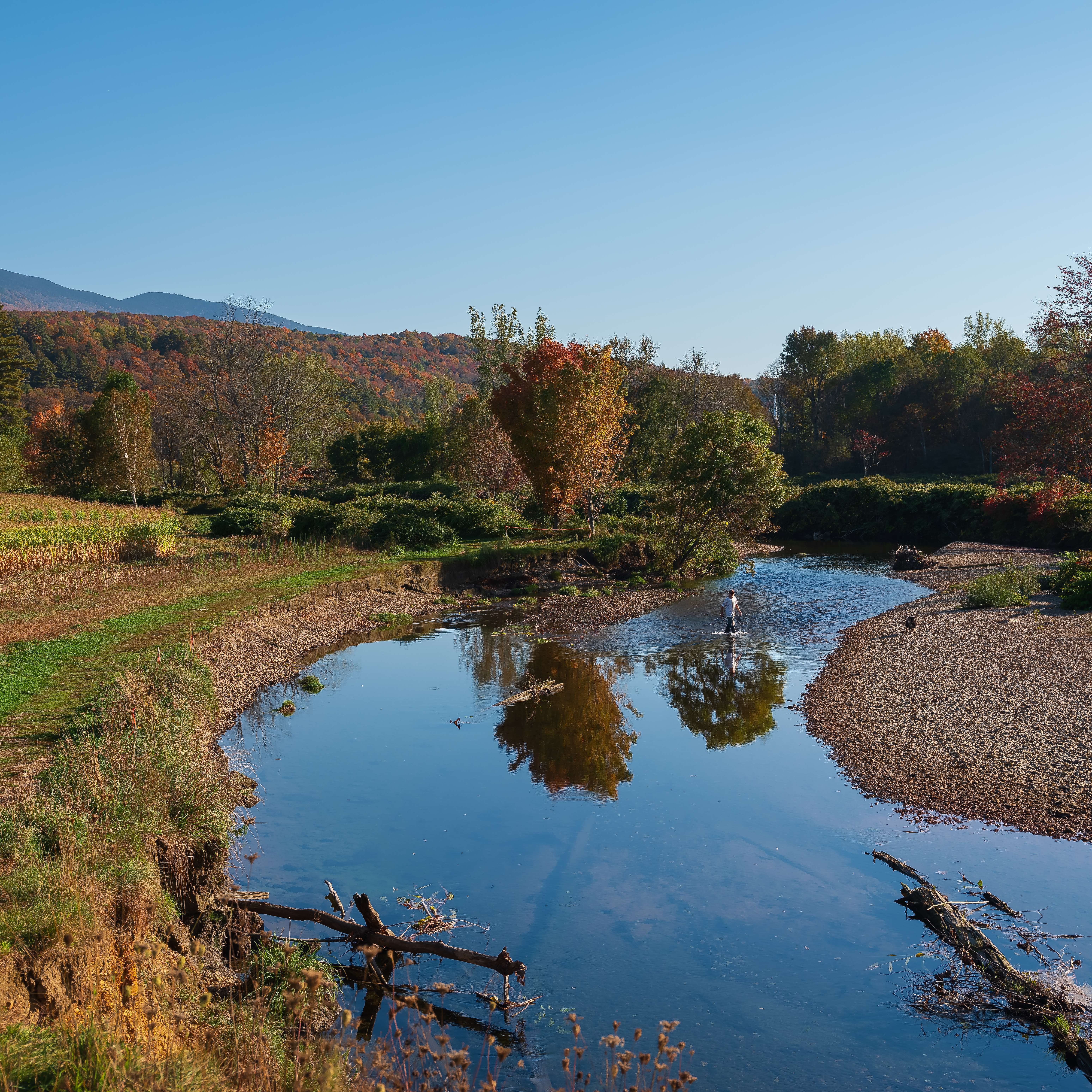 Guided Hike: River Walk at Mayo Farm