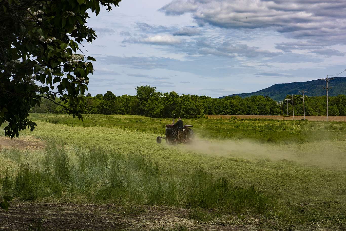 A photo of a tractor haying a verdant field.
