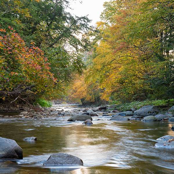 From Conservation to Connection: Next Steps for Adams Camp Connector Trails