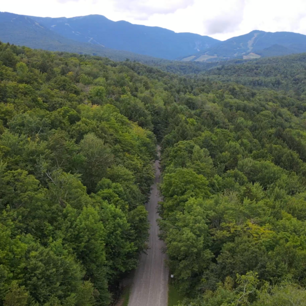 An aerial view of lush Vermont forest bisected by a gravel road, with views of Mount Mansfield and the Stowe Mountain Resort ski area in the background.