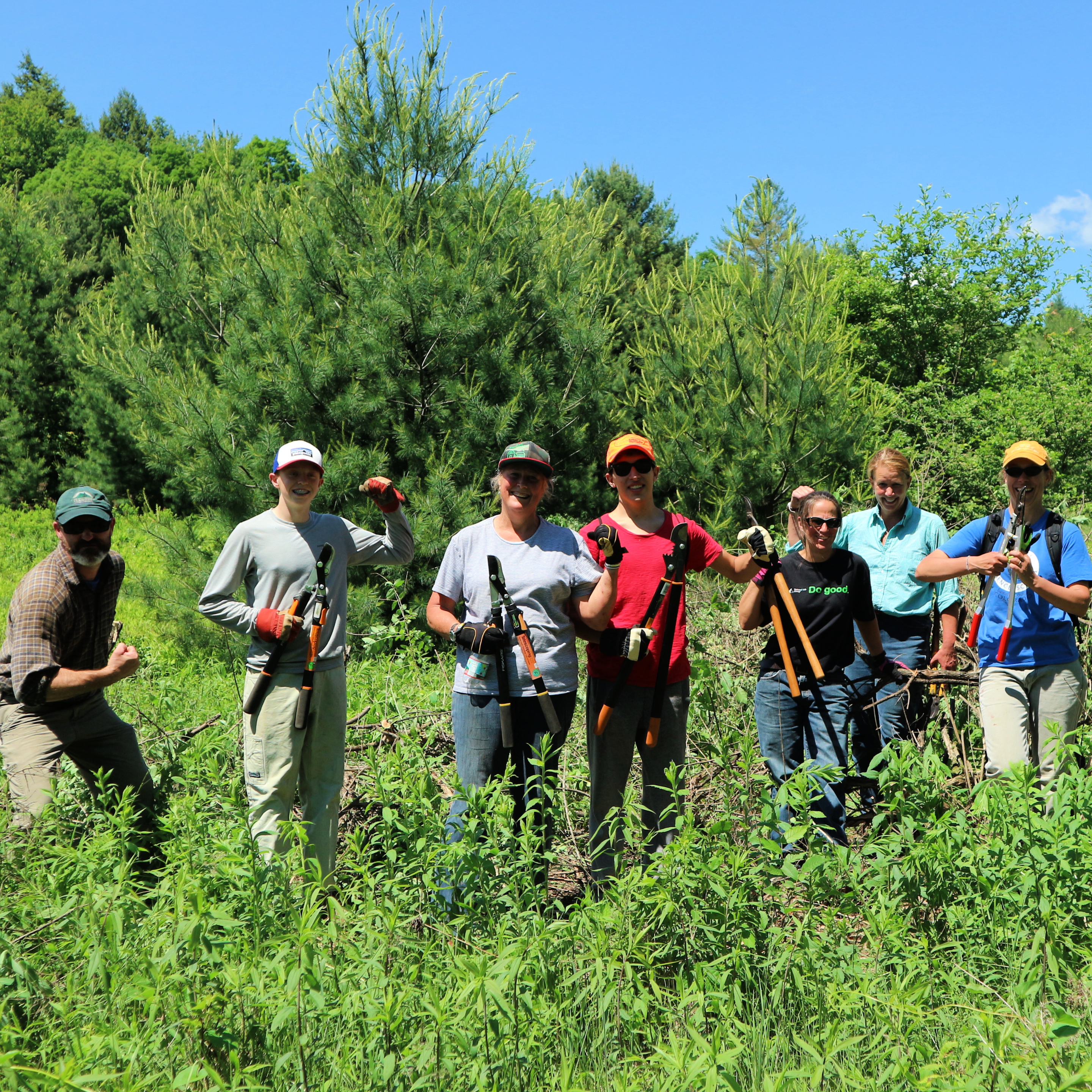 Volunteer Work Party: Honeysuckle Removal at Mayo Farm